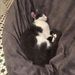 Meet your Posher, Alice